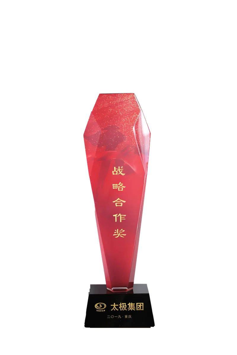 太极集团战略合作奖