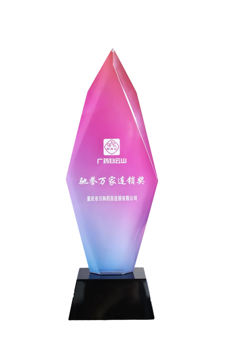 白云山驰誉万家连锁奖